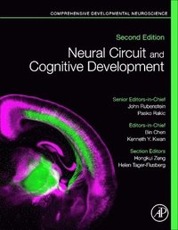bokomslag Neural Circuit and Cognitive Development
