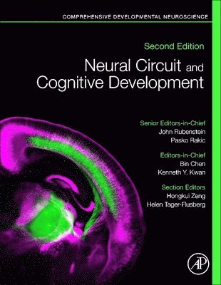 bokomslag Neural Circuit and Cognitive Development