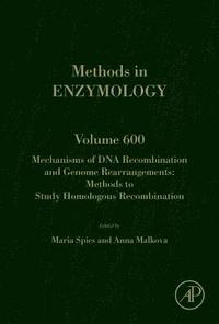 bokomslag Mechanisms of DNA Recombination and Genome Rearrangements: Methods to Study Homologous Recombination