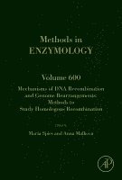 Mechanisms of DNA Recombination and Genome Rearrangements: Methods to Study Homologous Recombination, Inbunden