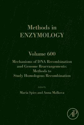 bokomslag Mechanisms of DNA Recombination and Genome Rearrangements: Methods to Study Homologous Recombination