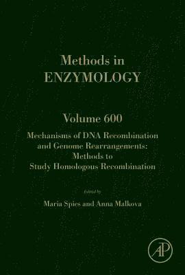 Mechanisms of DNA Recombination and Genome Rearrangements: Methods to Study Homologous Recombination