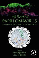 bokomslag Human Papillomavirus