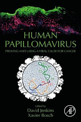 Human Papillomavirus 1