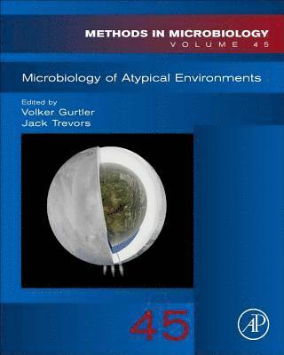 Microbiology of Atypical Environments 1