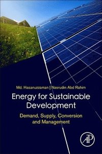 bokomslag Energy for Sustainable Development