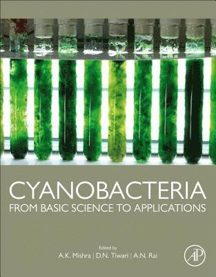 Cyanobacteria 1