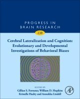 Cerebral Lateralization and Cognition: Evolutionary and Developmental Investigations of Behavioral Biases, Inbunden