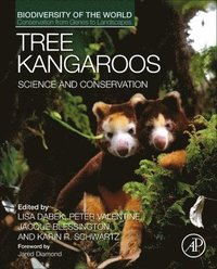 bokomslag Tree Kangaroos