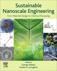 bokomslag Sustainable Nanoscale Engineering