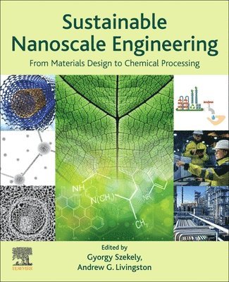 Sustainable Nanoscale Engineering 1