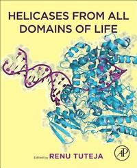 bokomslag Helicases from All Domains of Life
