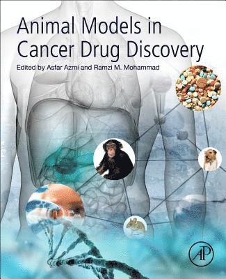 bokomslag Animal Models in Cancer Drug Discovery