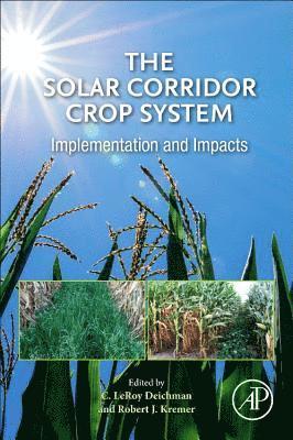 The Solar Corridor Crop System 1