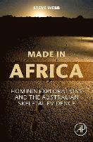 bokomslag Made in Africa