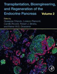 bokomslag Transplantation, Bioengineering, and Regeneration of the Endocrine Pancreas