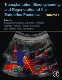 bokomslag Transplantation, Bioengineering, and Regeneration of the Endocrine Pancreas