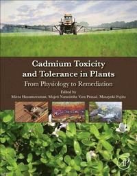 bokomslag Cadmium Toxicity and Tolerance in Plants