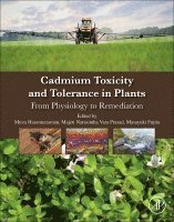 Mirza Hasanuzzaman, Masayuki Fujita, Majeti Narasimha Vara Prasad - Cadmium Toxicity and Tolerance in Plants, Häftad