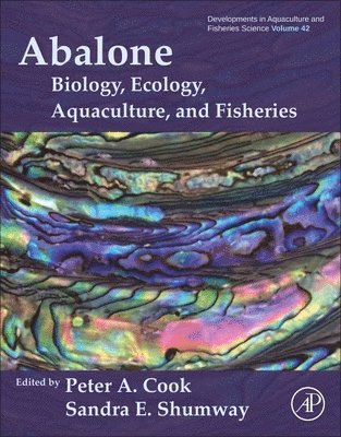 bokomslag Abalone