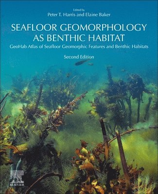 bokomslag Seafloor Geomorphology as Benthic Habitat