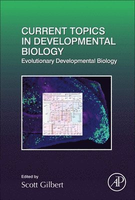 bokomslag Evolutionary Developmental Biology