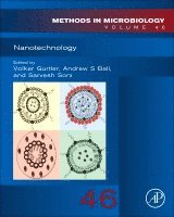 Andrew S. Ball, Sarvesh Kumar Soni - Nanotechnology, Inbunden