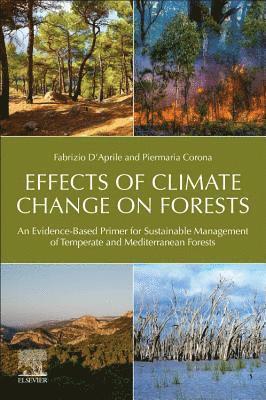 bokomslag Effects of Climate Change on Forests