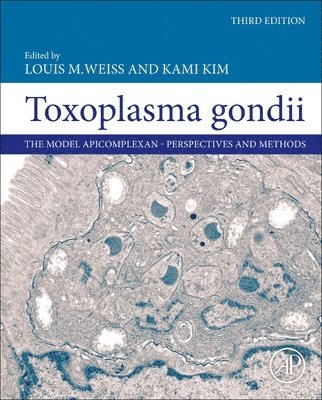 Toxoplasma Gondii 1