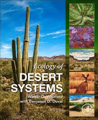 bokomslag Ecology of Desert Systems