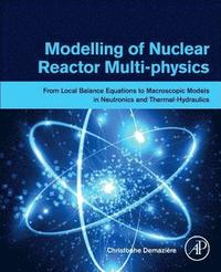 bokomslag Modelling of Nuclear Reactor Multi-physics