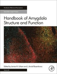 bokomslag Handbook of Amygdala Structure and Function