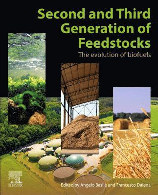 bokomslag Second and Third Generation of Feedstocks