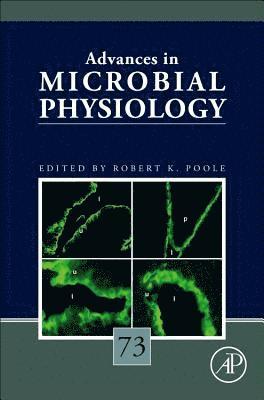 bokomslag Advances in Microbial Physiology