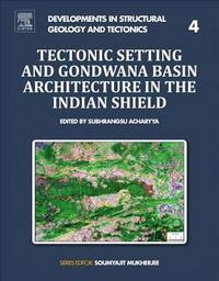 bokomslag Tectonic Setting and Gondwana Basin Architecture in the Indian Shield