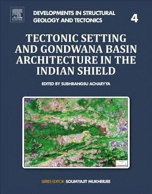 bokomslag Tectonic Setting and Gondwana Basin Architecture in the Indian Shield