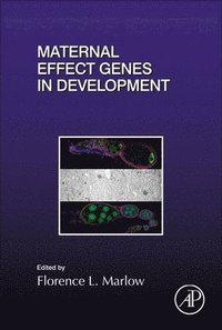 bokomslag Maternal Effect Genes in Development