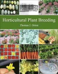 bokomslag Horticultural Plant Breeding