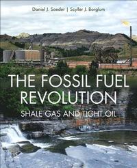bokomslag The Fossil Fuel Revolution
