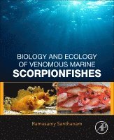 bokomslag Biology and Ecology of Venomous Marine Scorpionfishes