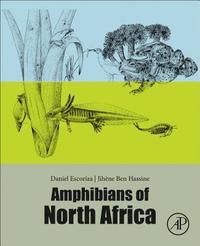 bokomslag Amphibians of North Africa