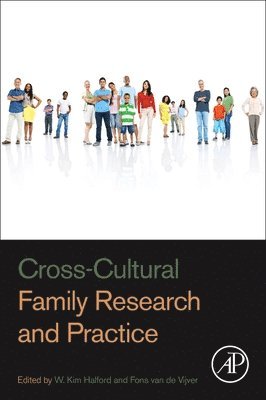 bokomslag Cross-Cultural Family Research and Practice