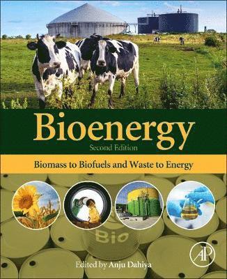 Bioenergy 1