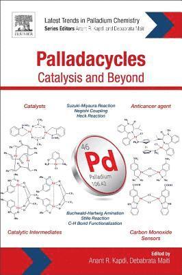 bokomslag Palladacycles