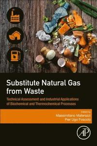 bokomslag Substitute Natural Gas from Waste