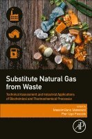 Massimiliano Materazzi, Pier Ugo Foscolo, UK) Materazzi, Massimiliano (Research Fellow and Lecturer, University College London, Italy) Foscolo, Pier Ugo (Professor, Department of Industrial Engineering, University of L’Aquila - Substitute Natural Gas from Waste, Häftad
