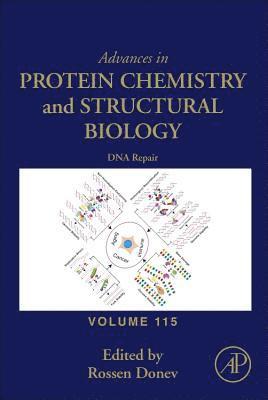 bokomslag DNA Repair