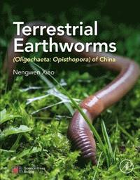 bokomslag Terrestrial Earthworms (Oligochaeta: Opisthopora) of China