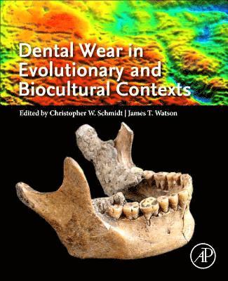 bokomslag Dental Wear in Evolutionary and Biocultural Contexts