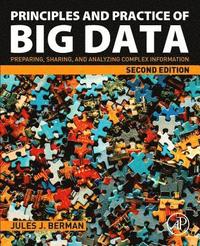 bokomslag Principles and Practice of Big Data